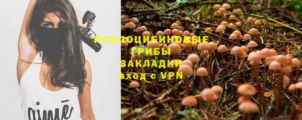 твердый Вязьма