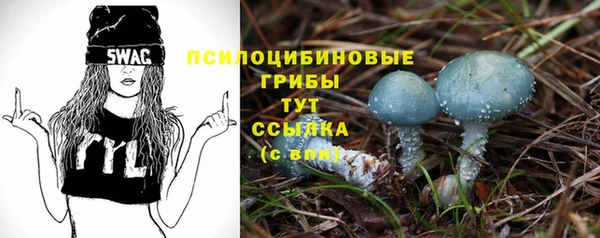прущий лед Горняк